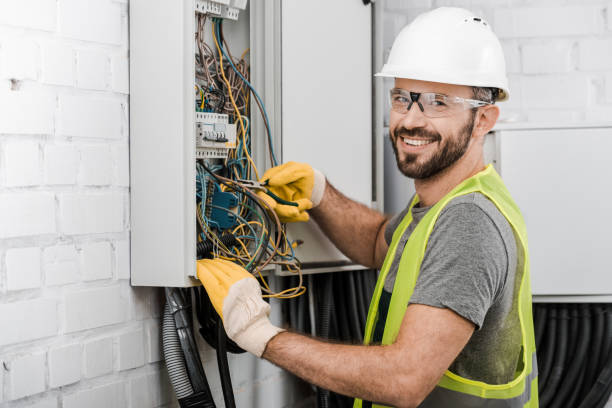Best Electric Panel Repair  in Sitka, AK